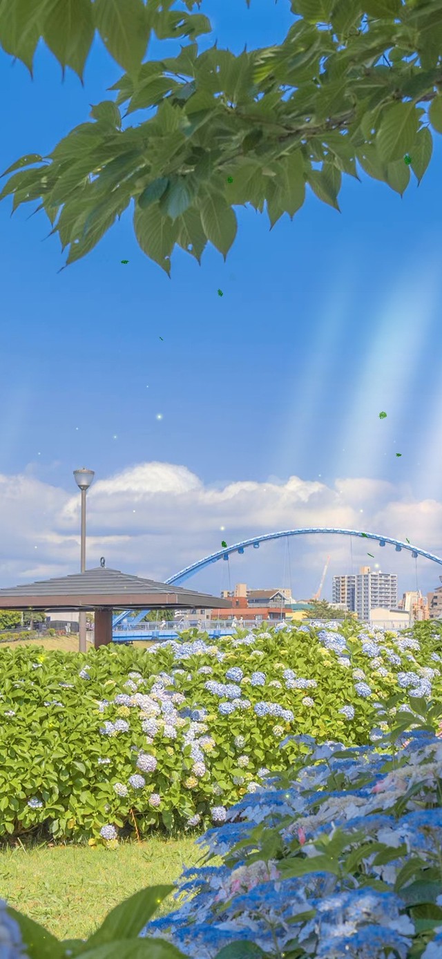 治愈唯美春天的花丛