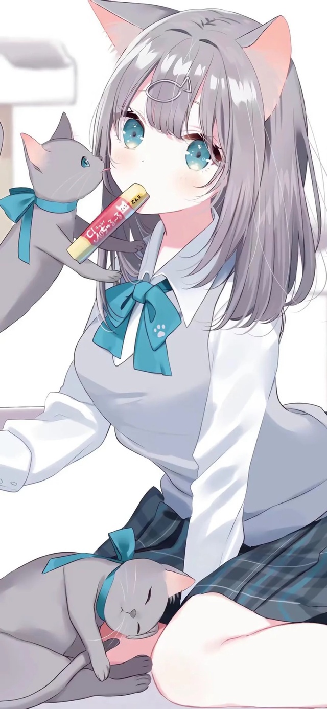 可爱猫猫