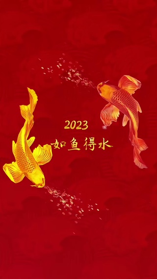 2023如鱼得水