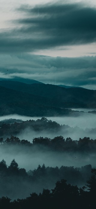 4K雨中云雾山林