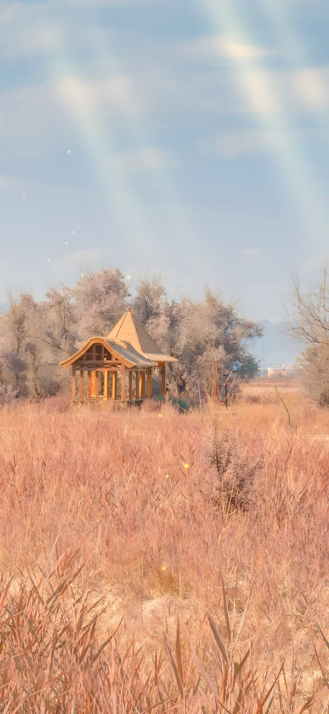 唯美治愈秋季蓝天树林