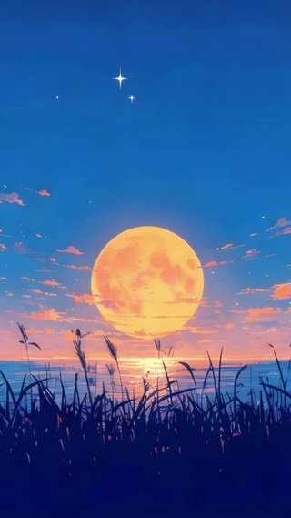 海月星空