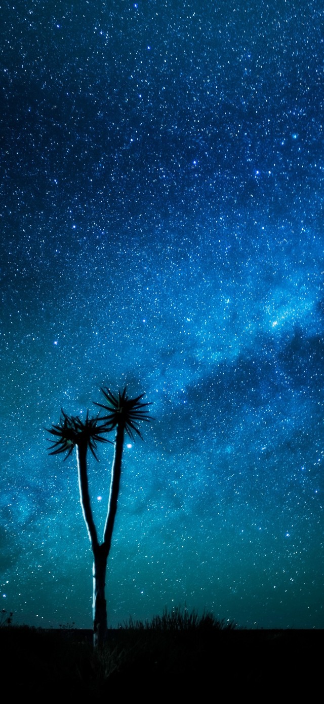 蓝色星空