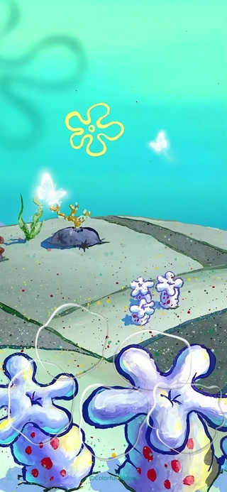 海绵宝宝