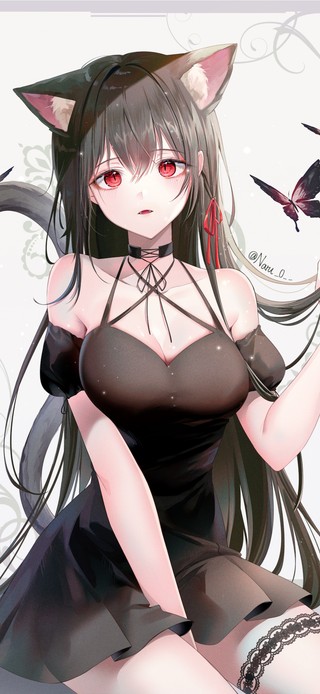 性感猫耳少女