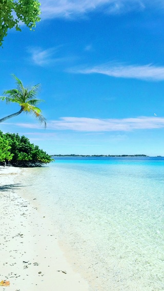 清爽海滩，浪花朵朵
