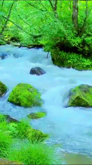 绿林护眼流水 4K