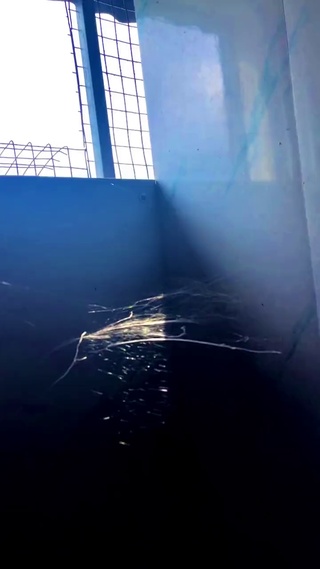 光与影
