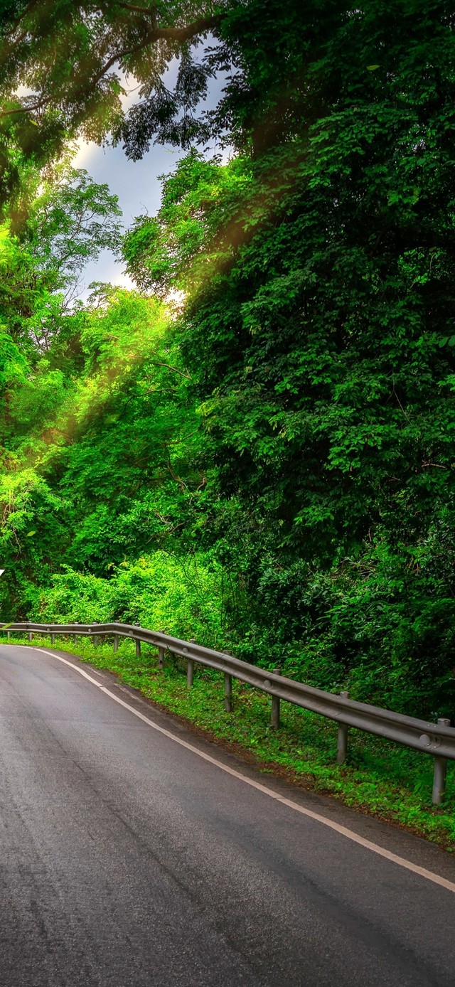 4k唯美护眼公路