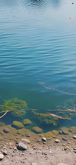 河面风景