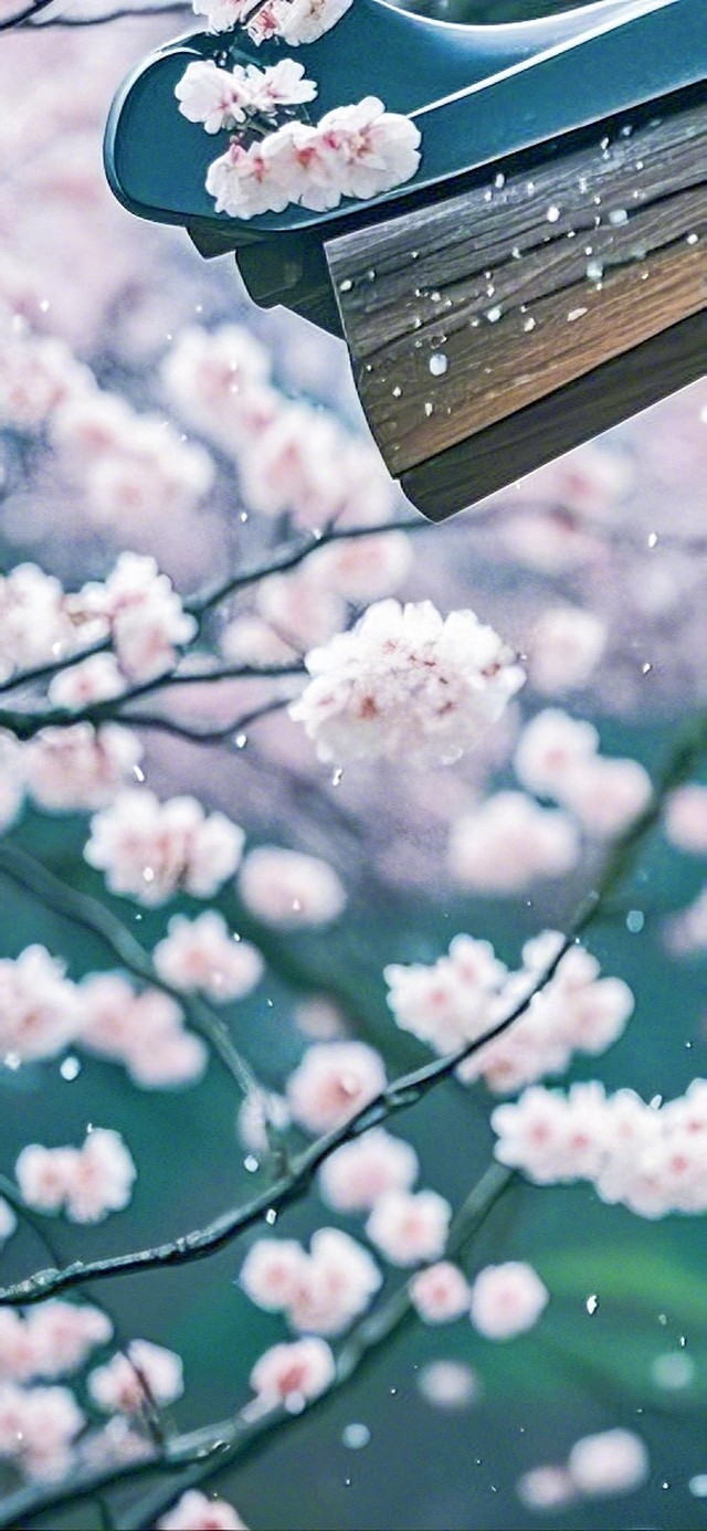 雨中屋檐下的风铃