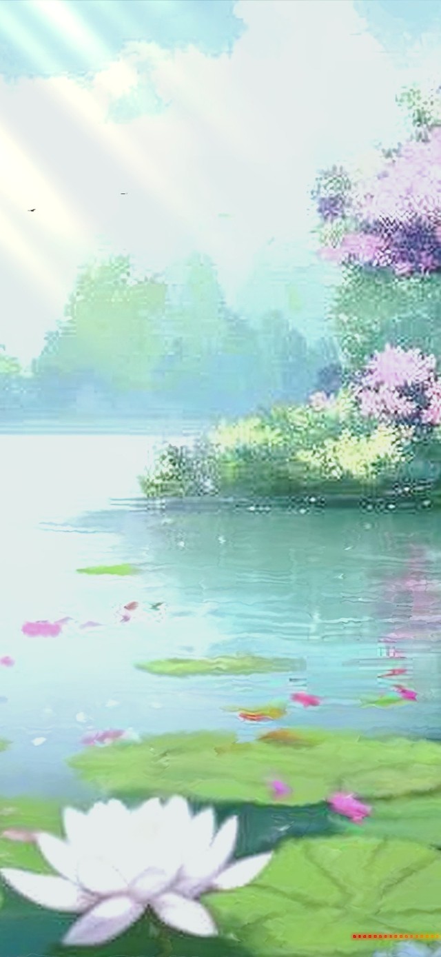 愿做凡尘一朵莲