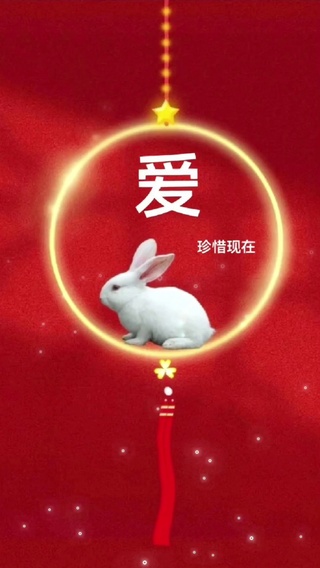 摇摆的兔子