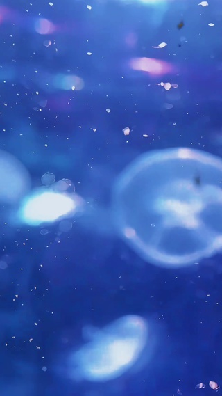 深海拾光