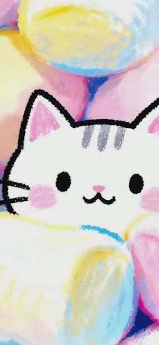 猫咪