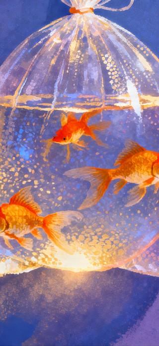 唯美光影 招财锦鲤