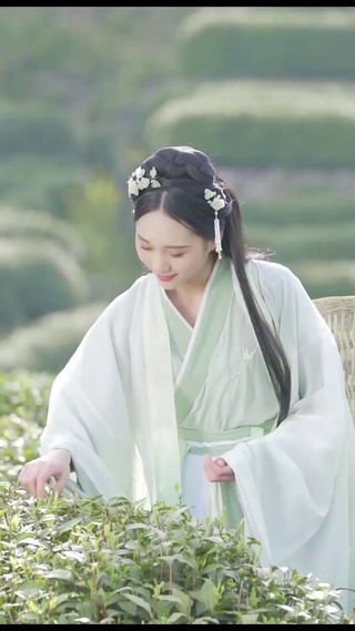 采茶姑娘