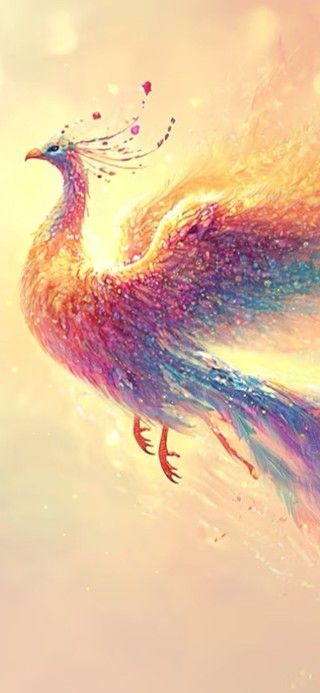 九天玄鸟 治愈唯美