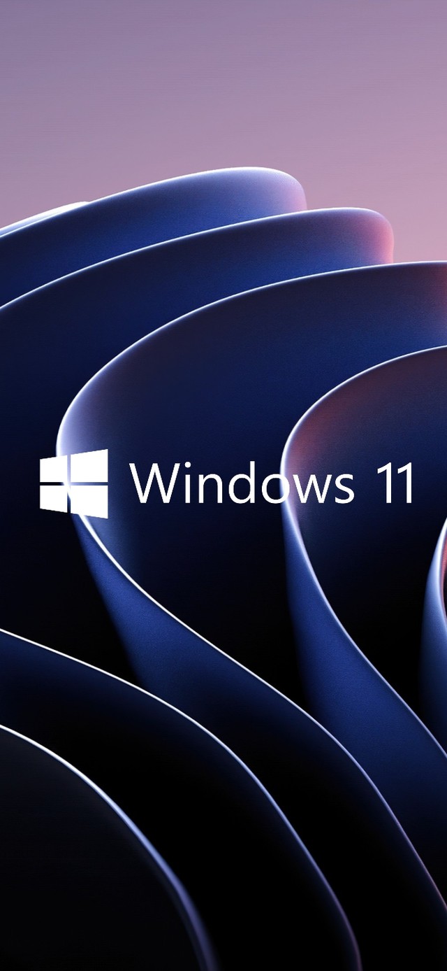 win11壁纸(其他手机动态壁纸) - 其他手机壁纸下载 - 元气壁纸