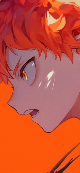 日向翔阳 排球少年