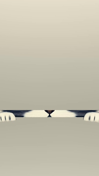 LIKE KITTEN