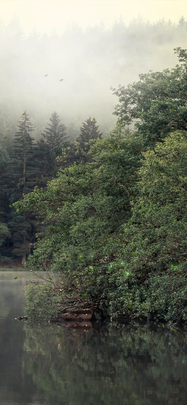 风景系列之二十九【4K唯美】