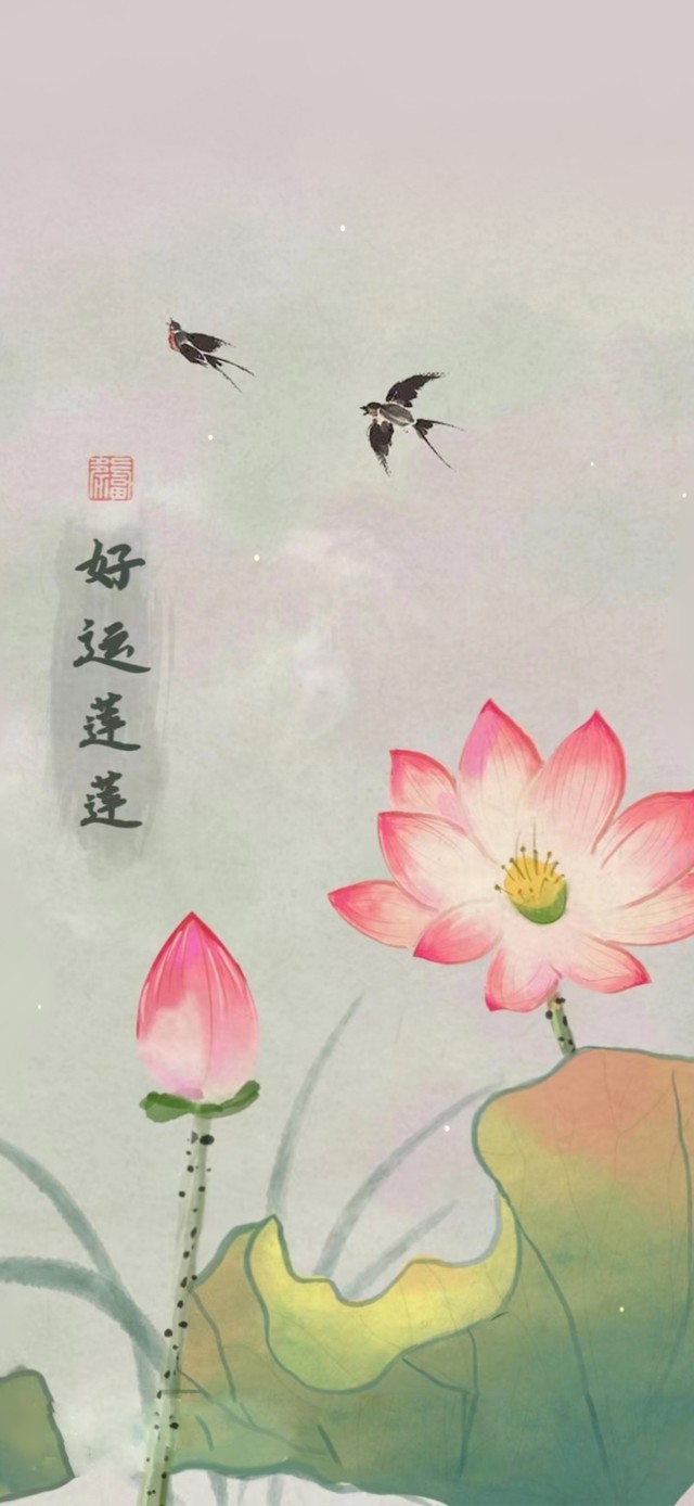 好运莲莲 古风