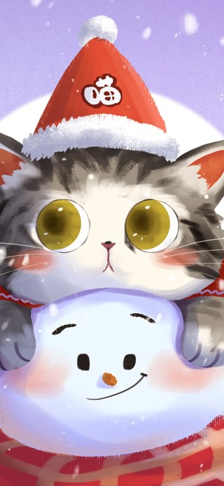 4K唯美冬天可爱猫咪