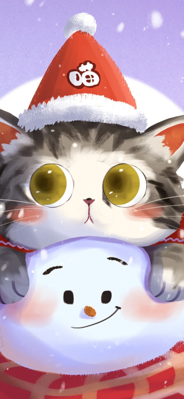 4K唯美冬天可爱猫咪