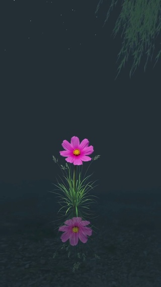 摇曳的小花朵