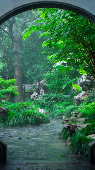 雨天庭院