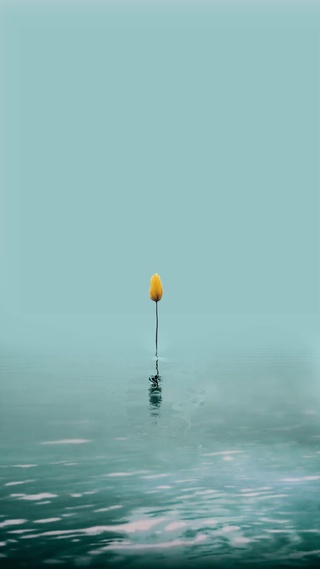 小花