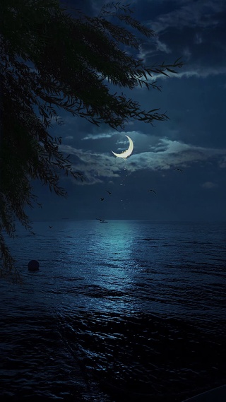 治愈夜晚