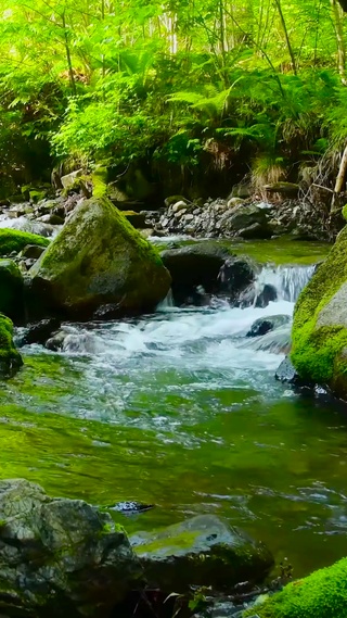 山涧溪流