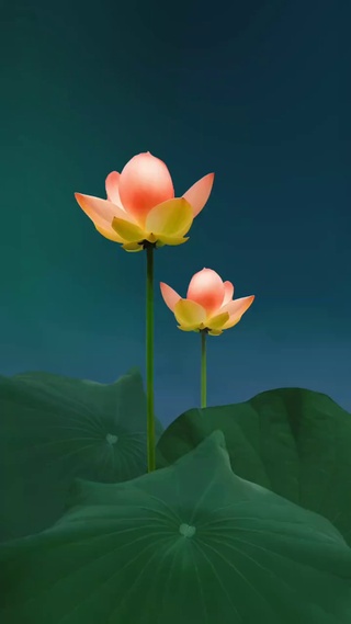 红尘美景