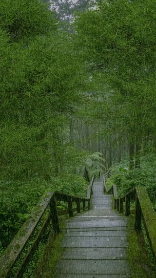 下雨天