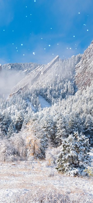 4k雪景