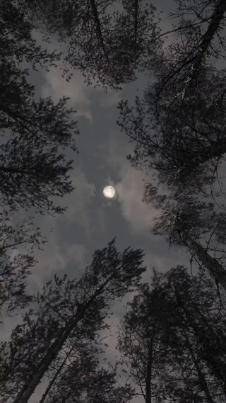 老家的夜晚