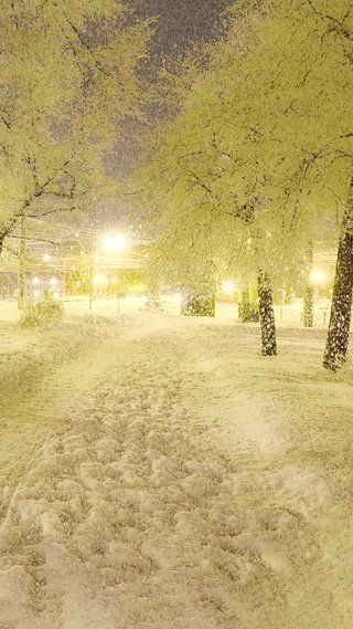 爆款浪漫雪景