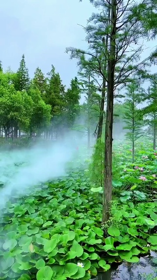 护眼幽静湖泊