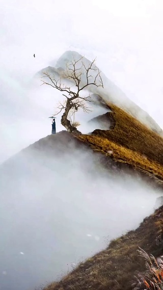 4k绝色佳人美景
