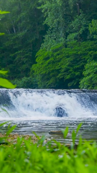 清凉绿林河流