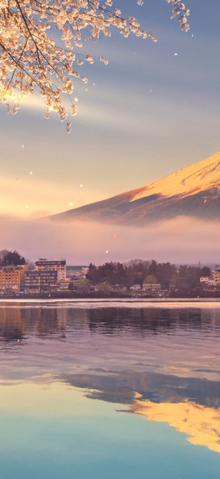 4K唯美夕阳富士山樱花湖