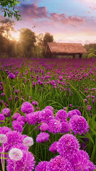 黄昏，黄昏永远那么美，带着淡淡的忧郁(＞﹏＜)