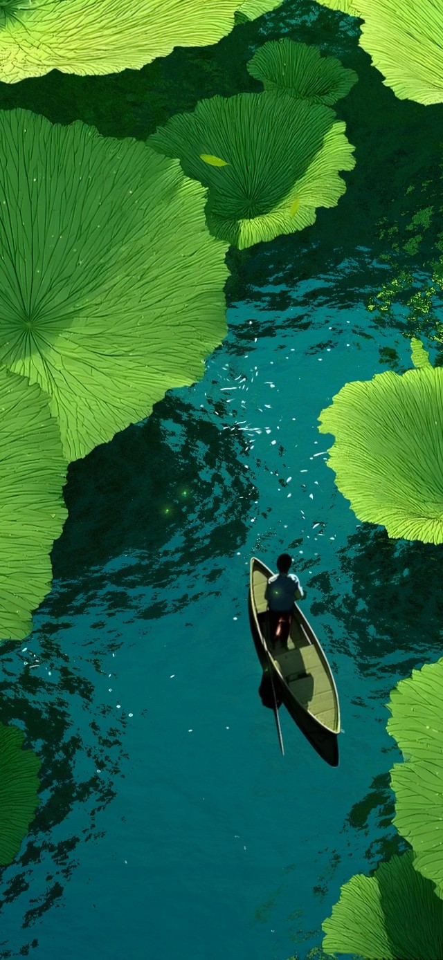 护眼解压夏日荷塘