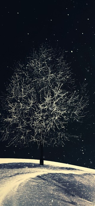 唯美沙漠星空