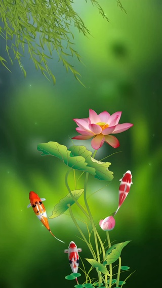 荷花