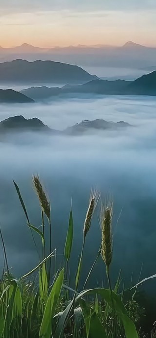 清晨风景
