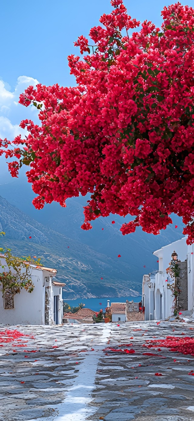 夏花绚烂的地中海小镇