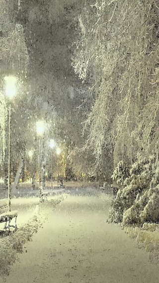 路边雪景